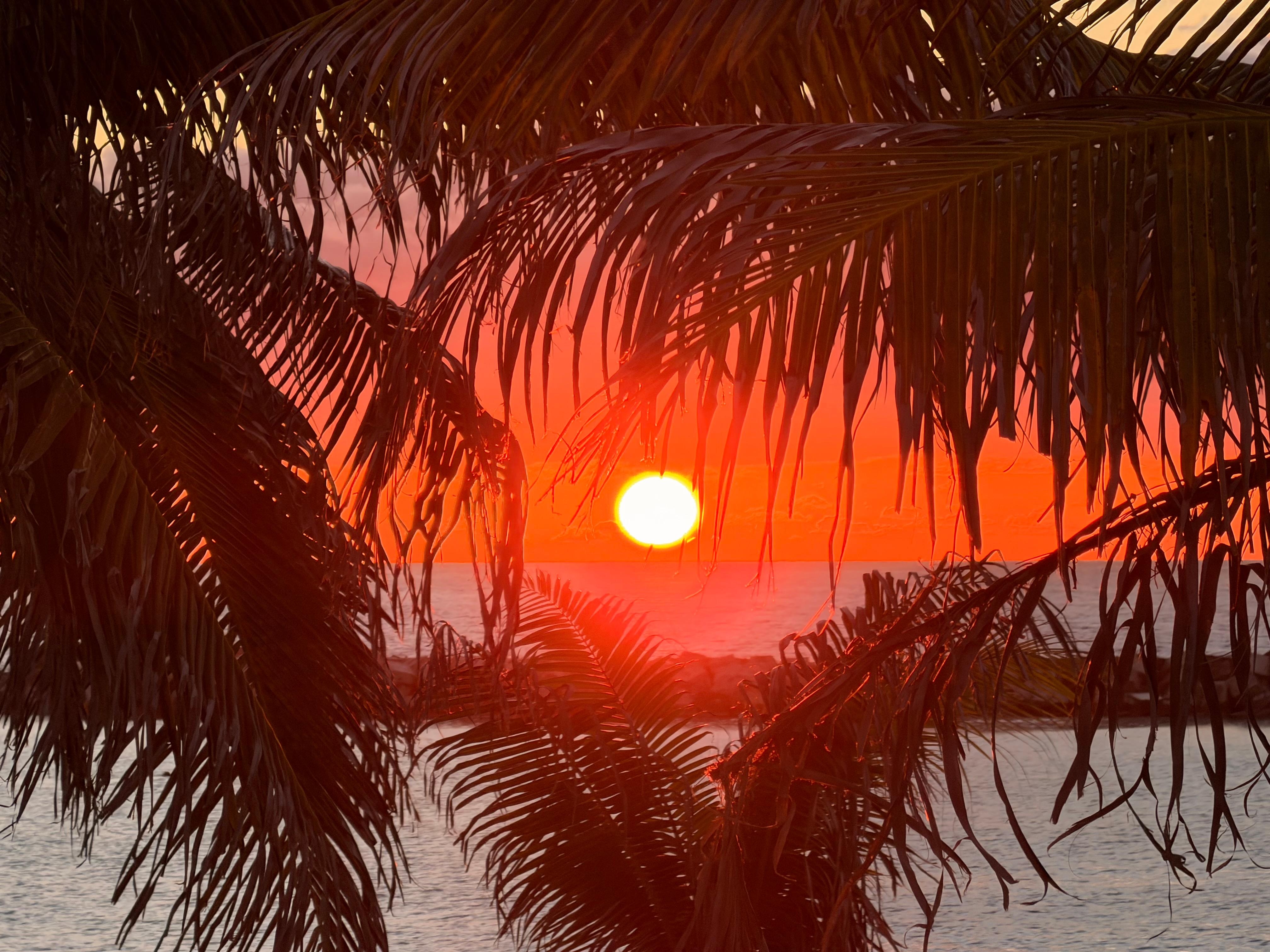 A typical beautiful sunrise! 