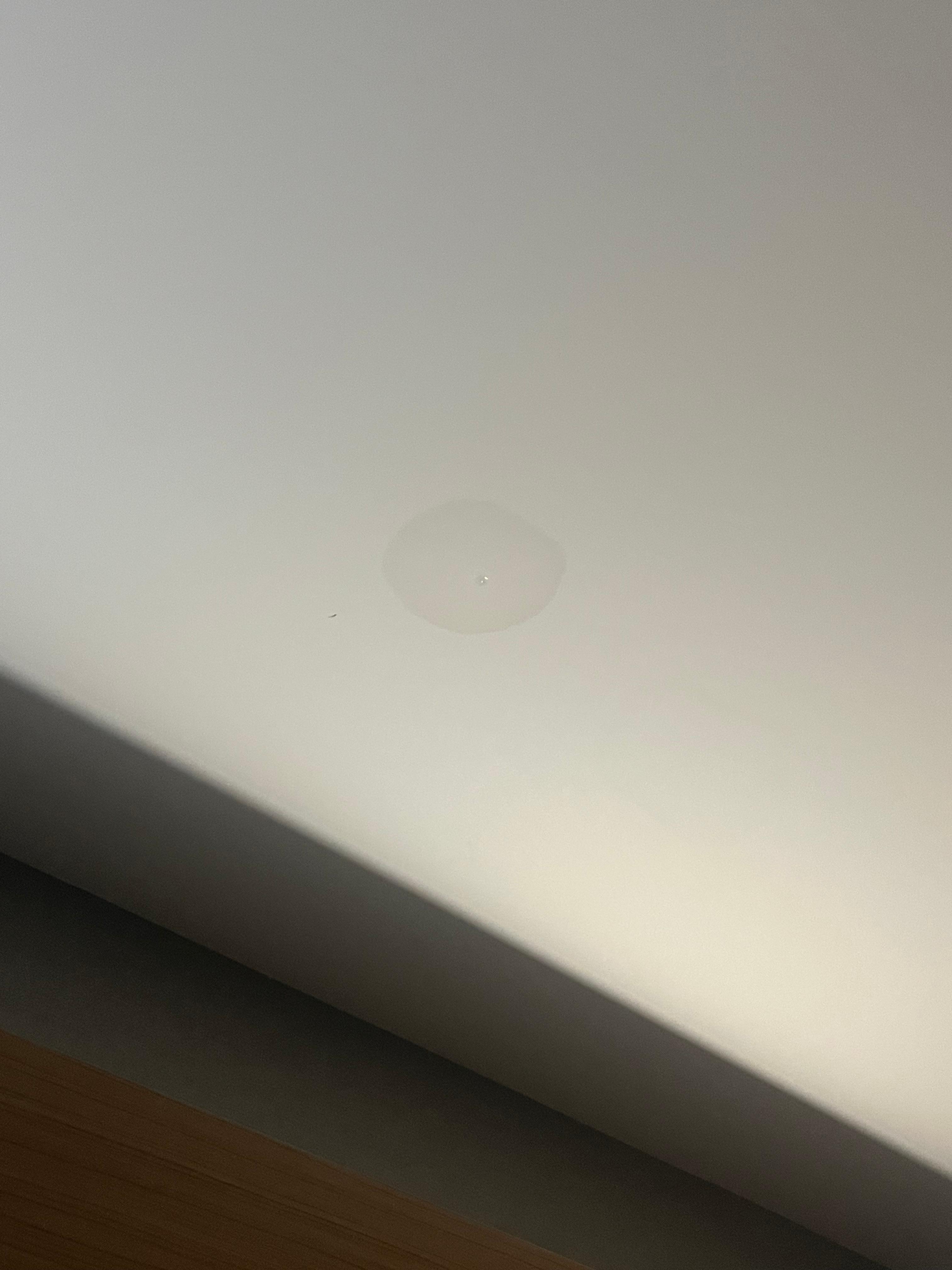 Water dripping from the ceiling over the bed