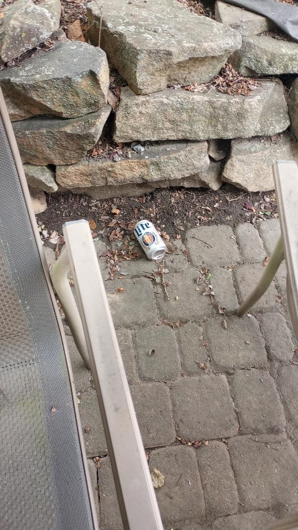 empty beer cans in the yard