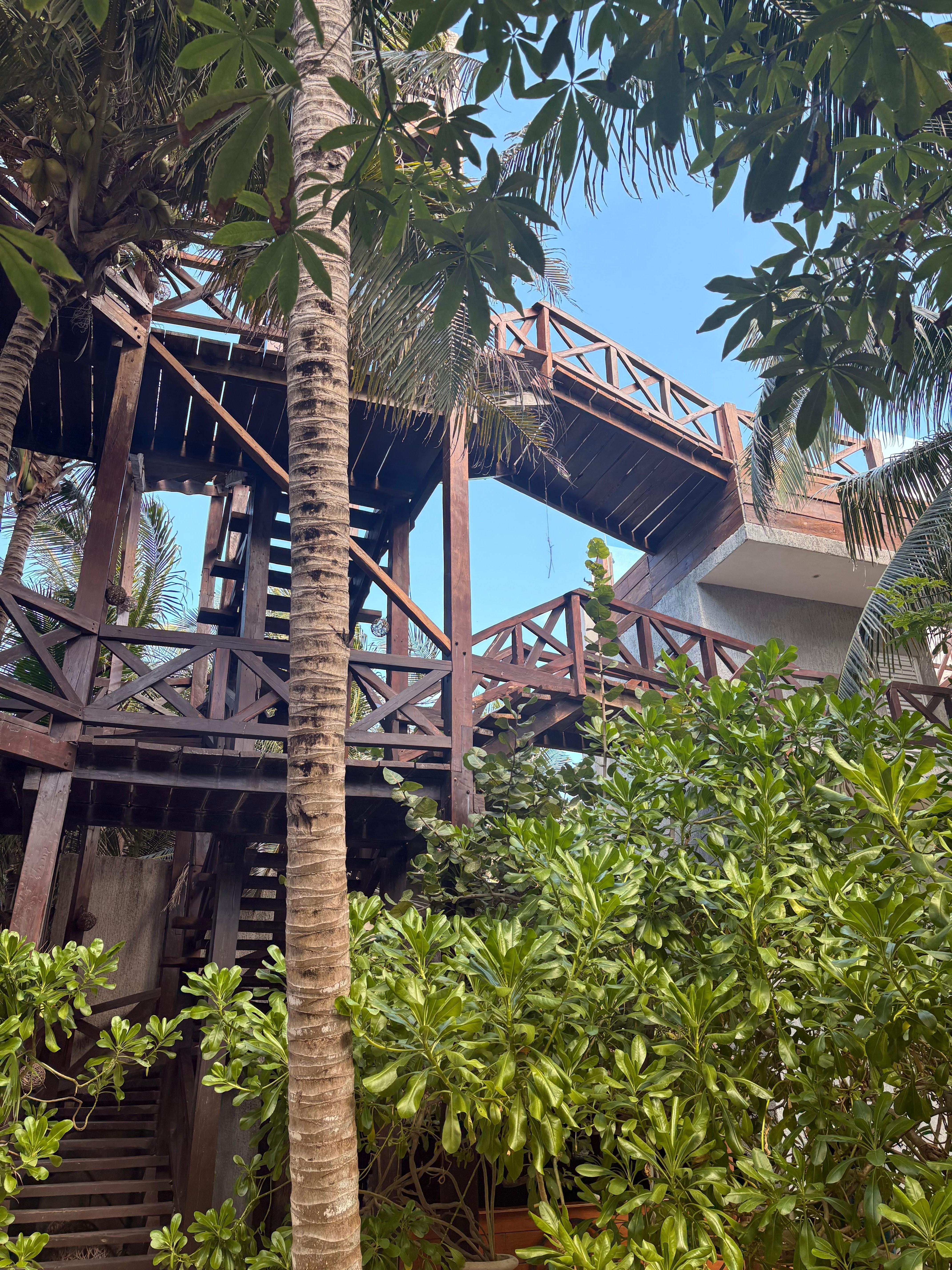 Amazing structures to get to the different levels