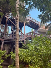 Amazing structures to get to the different levels