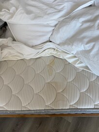 Stained Mattress