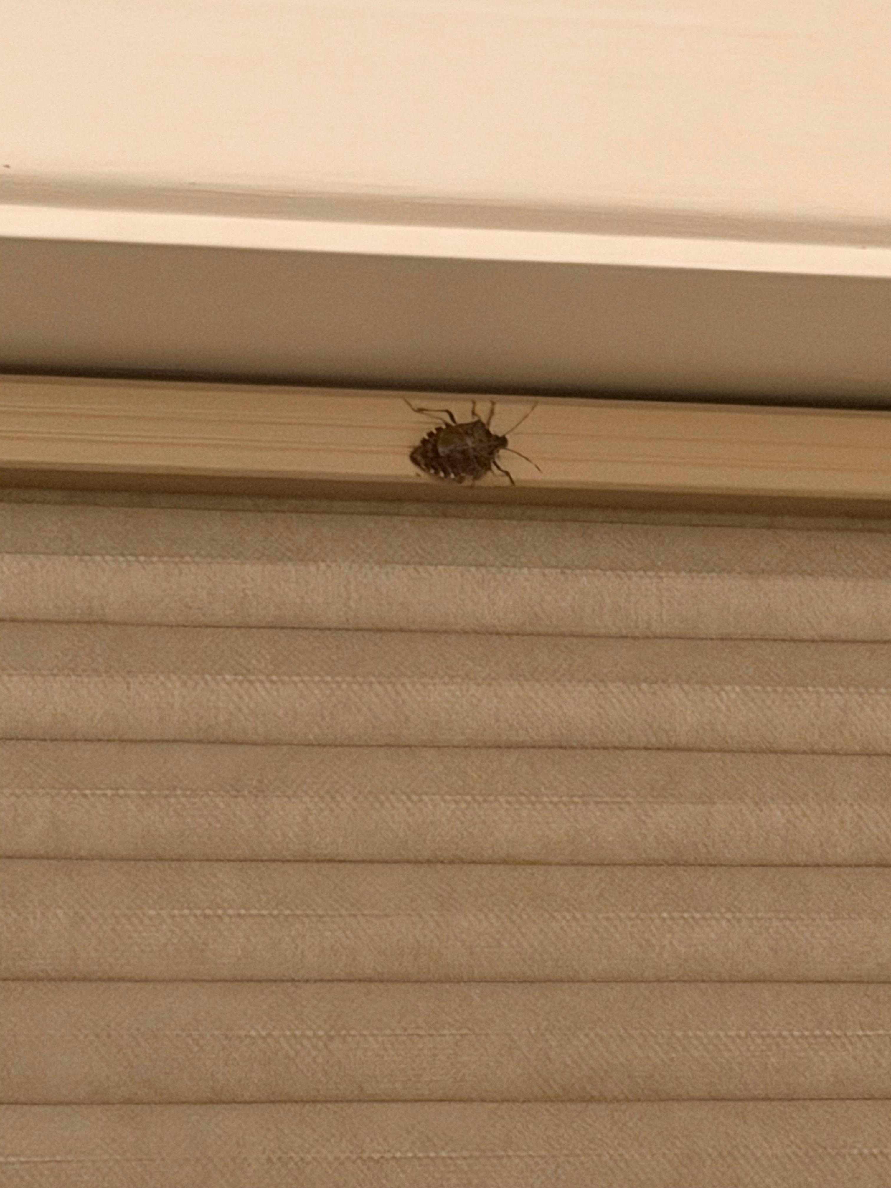 Bug #2. There was a lot more