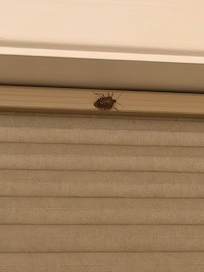 Bug #2. There was a lot more