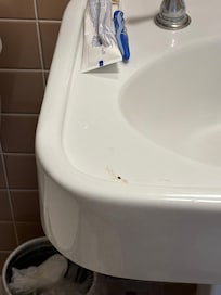 Bedbug on sink.