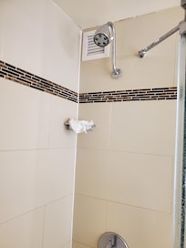 Shower head that does not extend, old, rusty, takes time for hot water to come thru