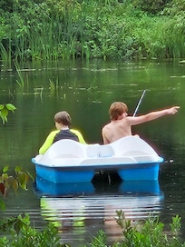Perfect summer days