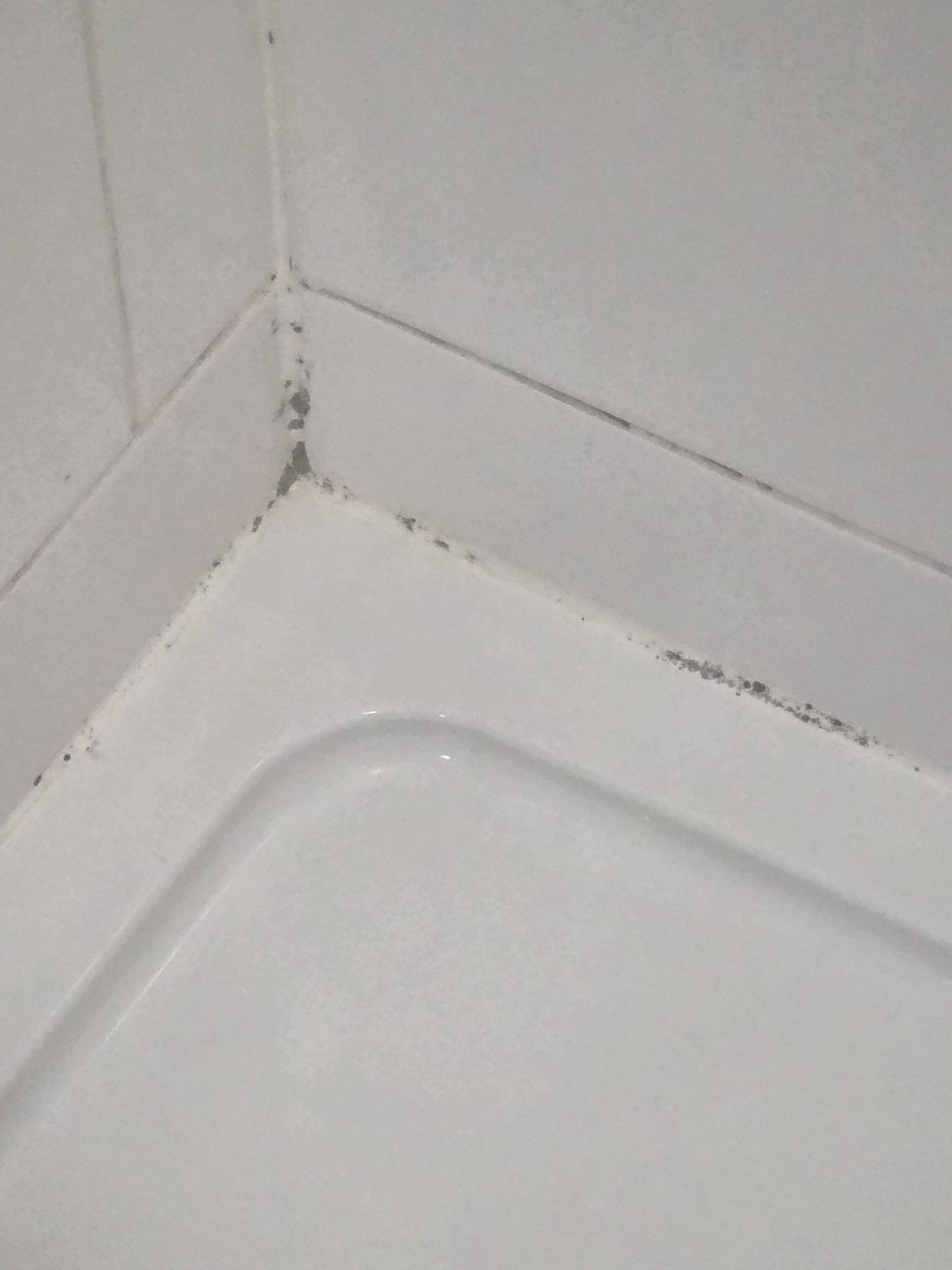 Mould in shower