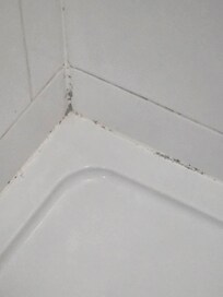 Mould in shower