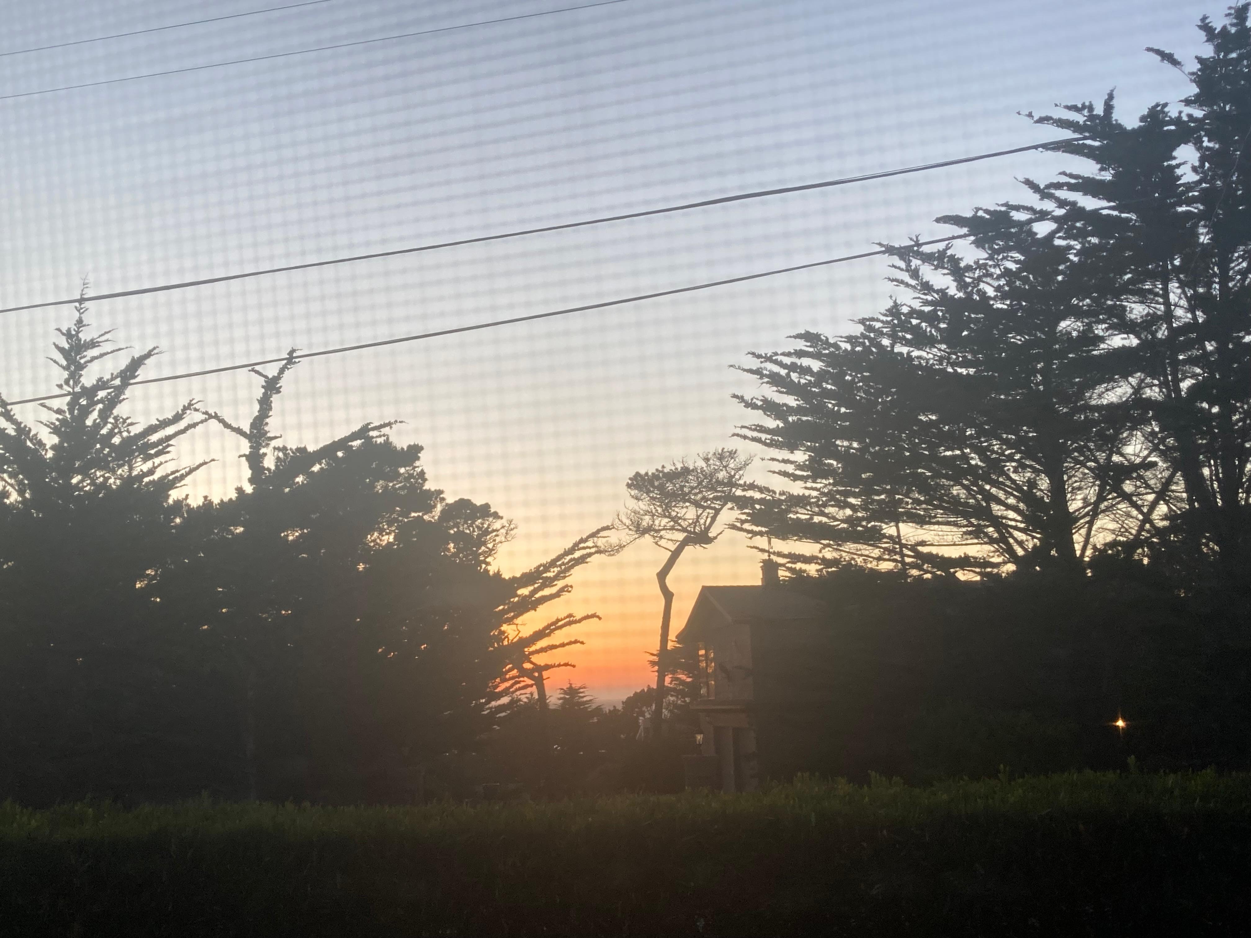 Sunset
