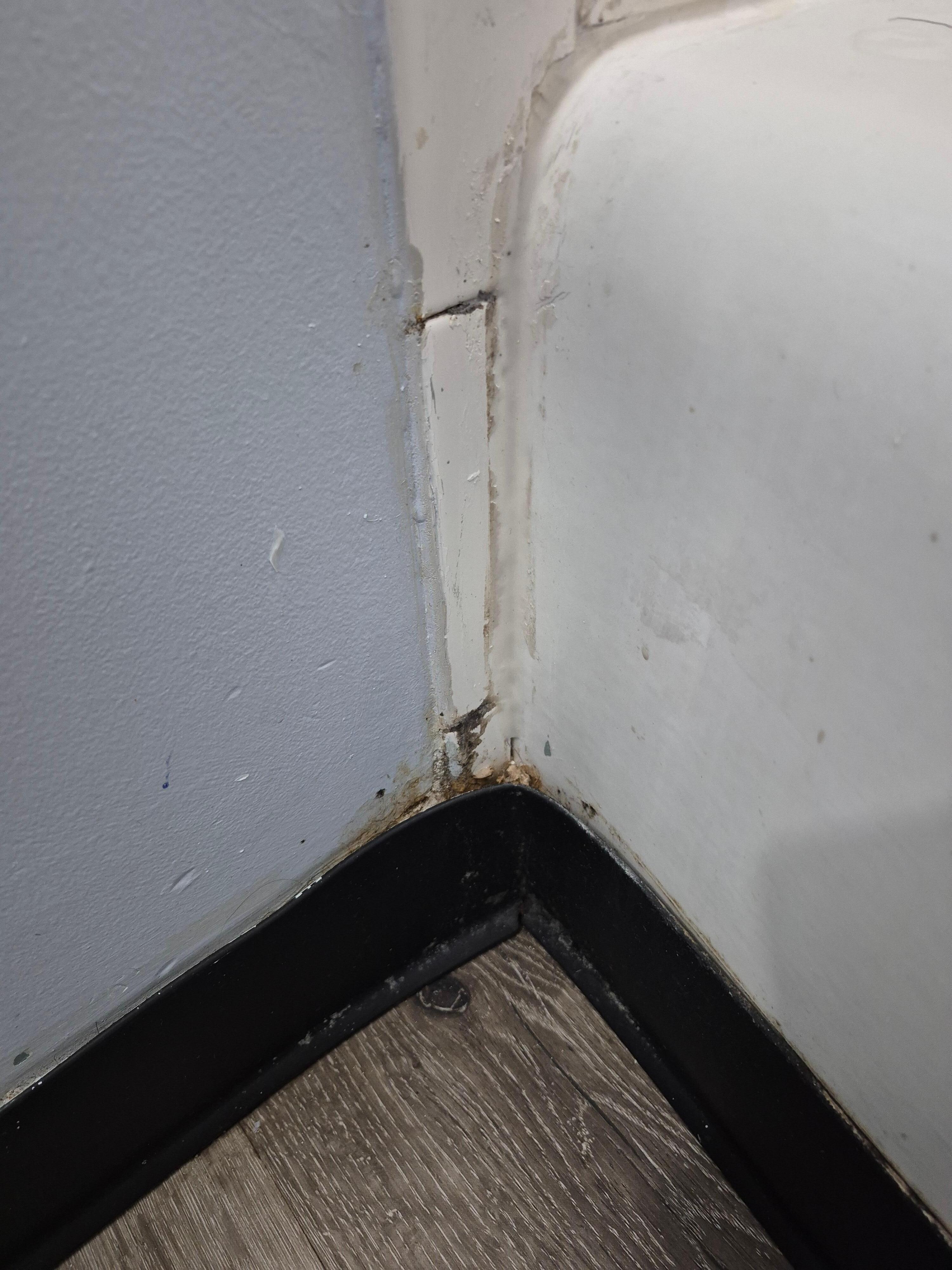The corner in the bathroom by the tub.