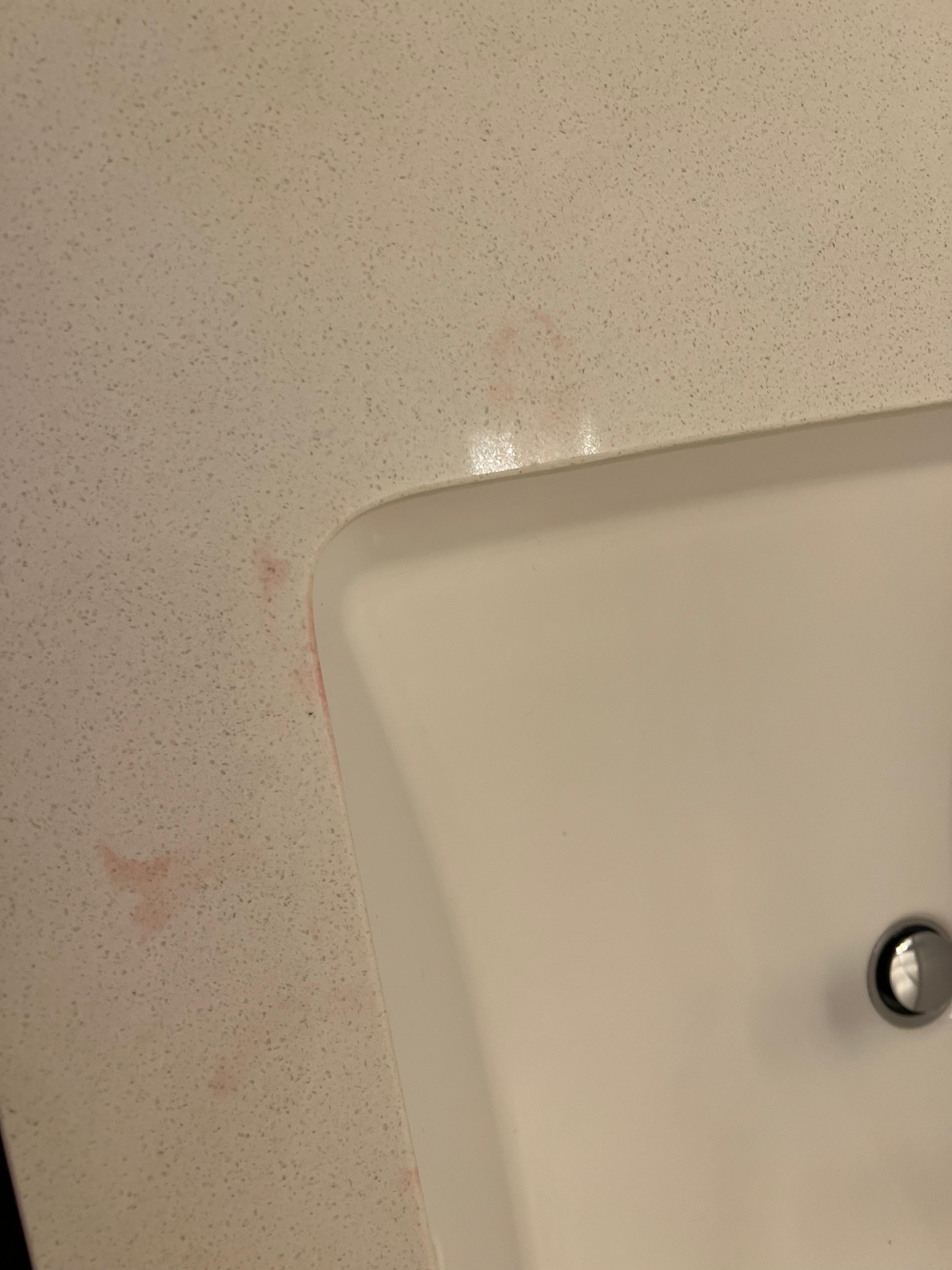 Dirty toilet and sink when we arrived