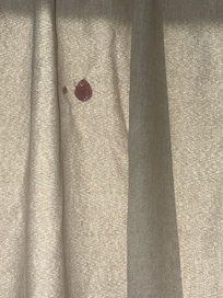 Blood on the curtain