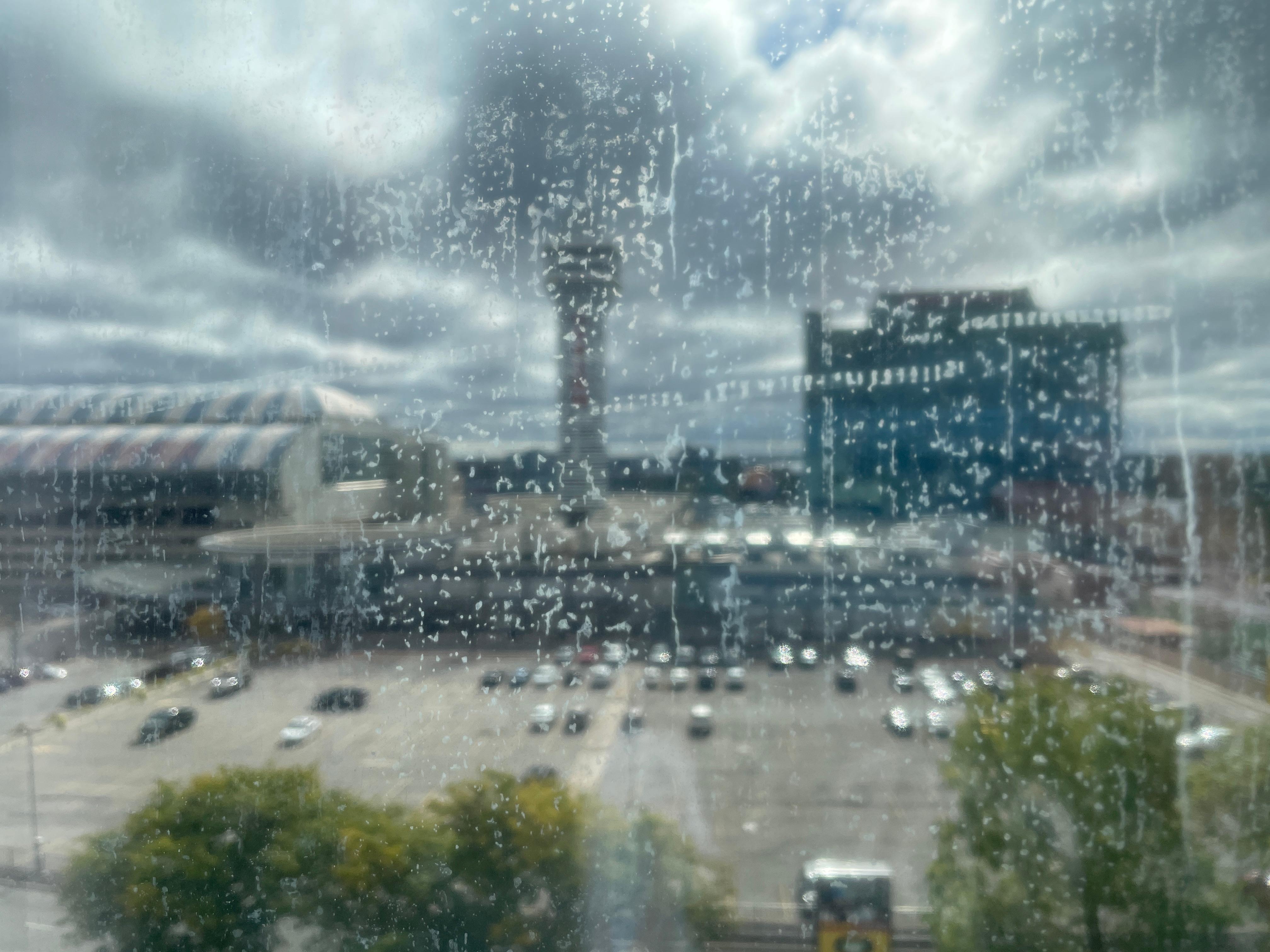 The window was not cleaned, so I couldn't get the best picture.