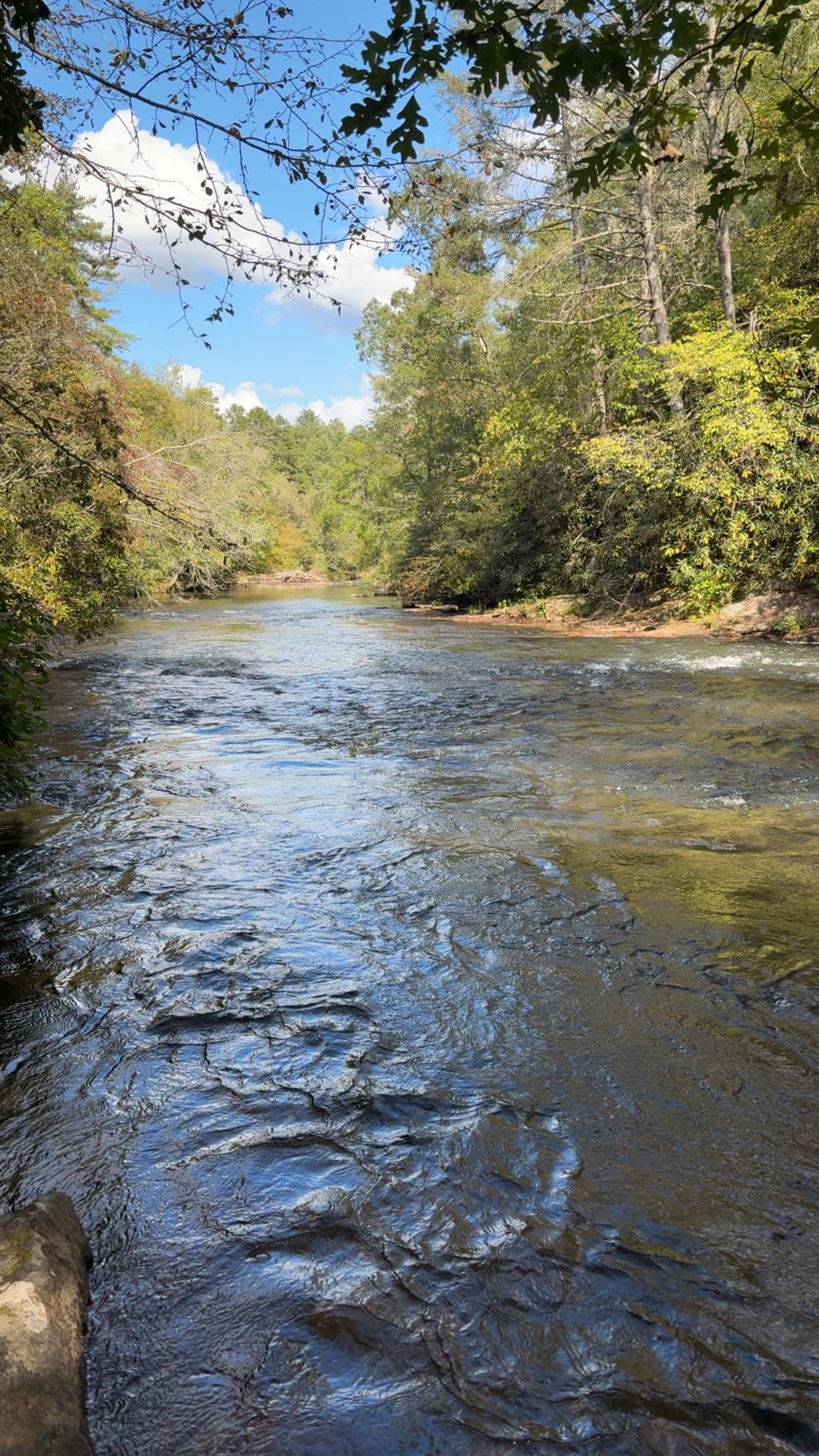 Creek in the back yard