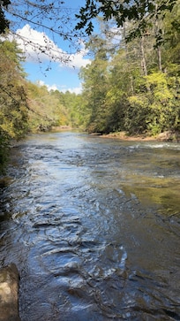 Creek in the back yard
