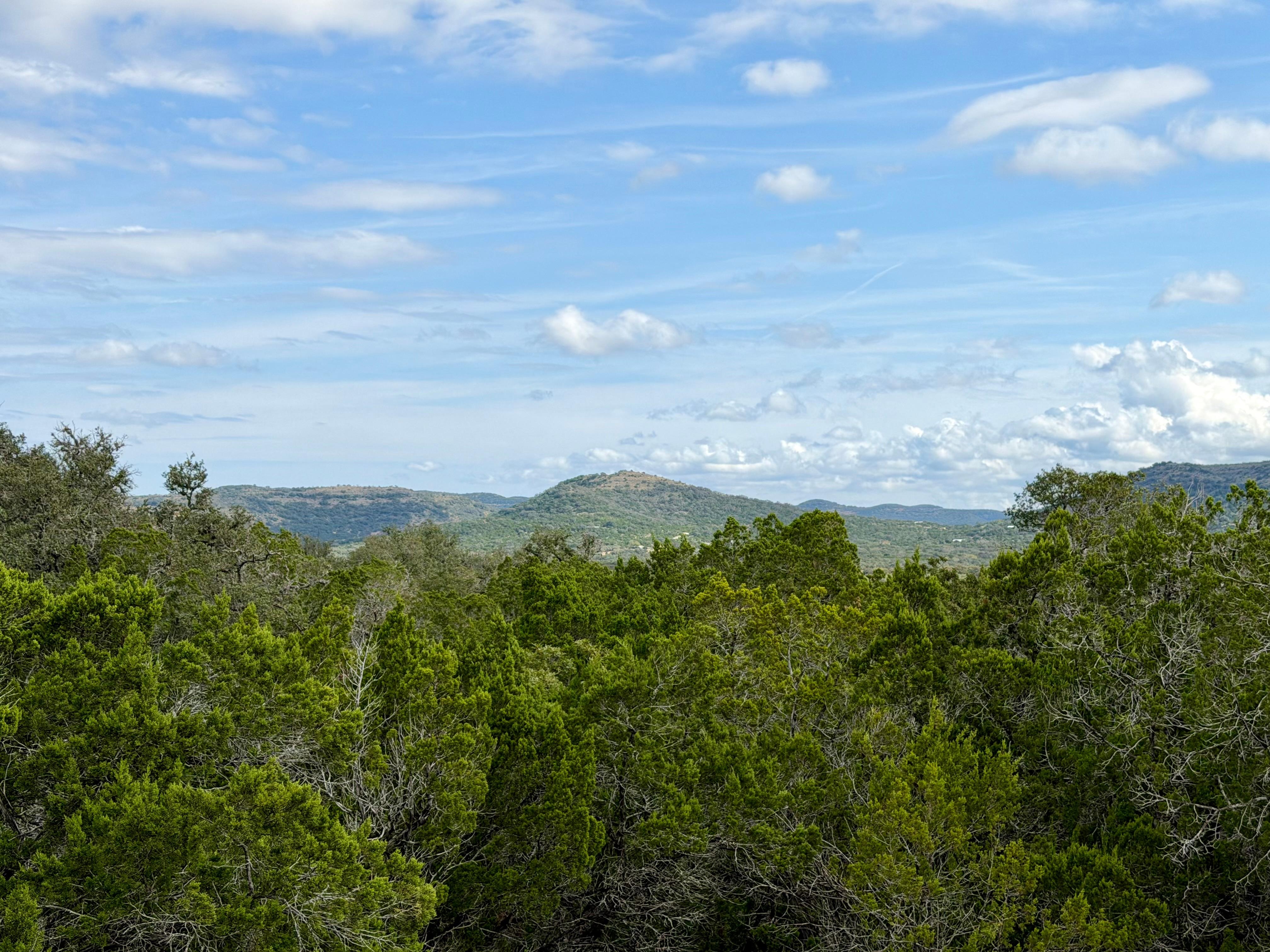 Took a walk on the property and saw this amazing sight!