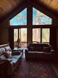 Living room with mountain view