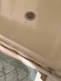 moldy shower seal need replaced.