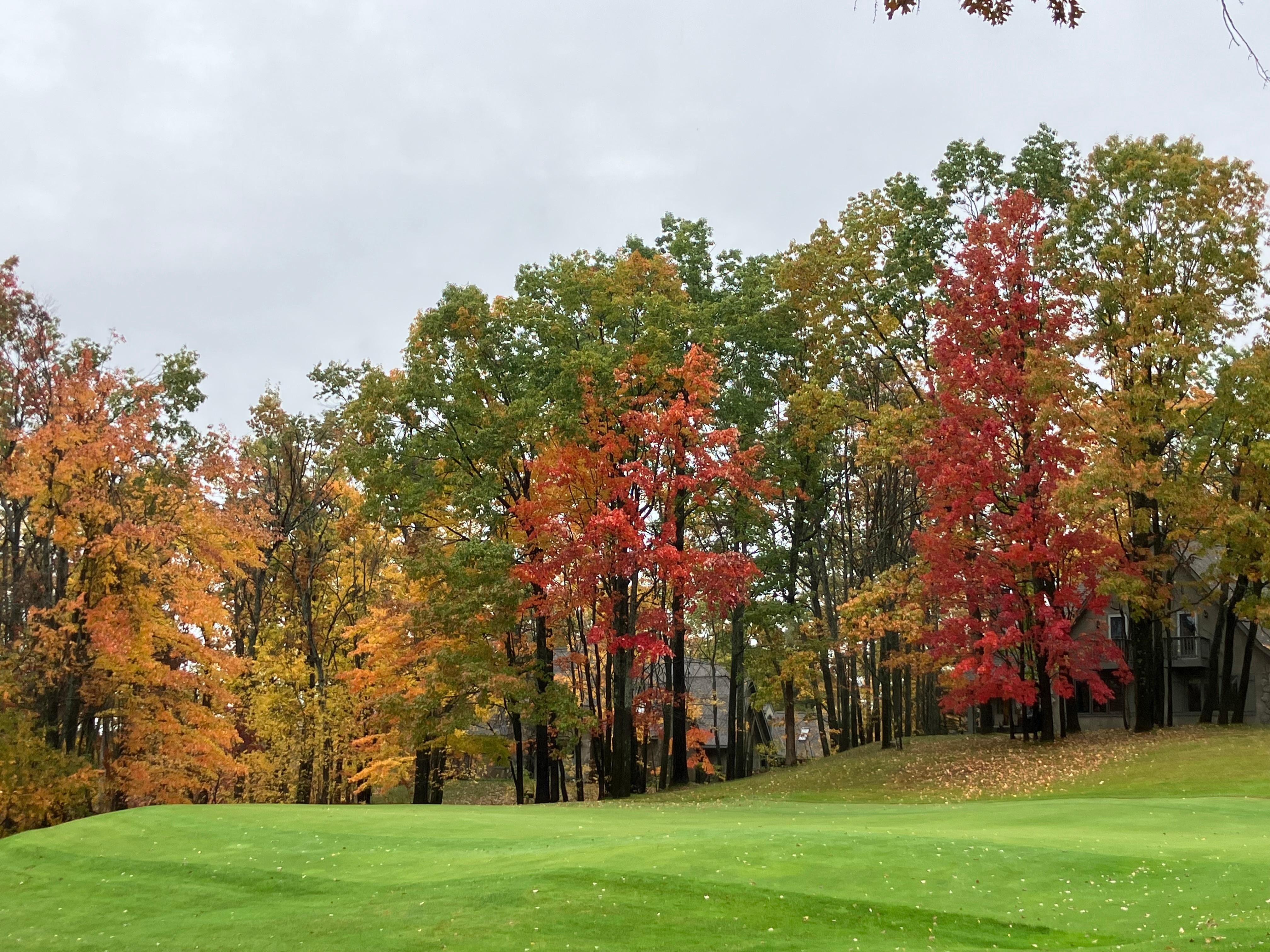 The property gave us beautiful views of fall colors!