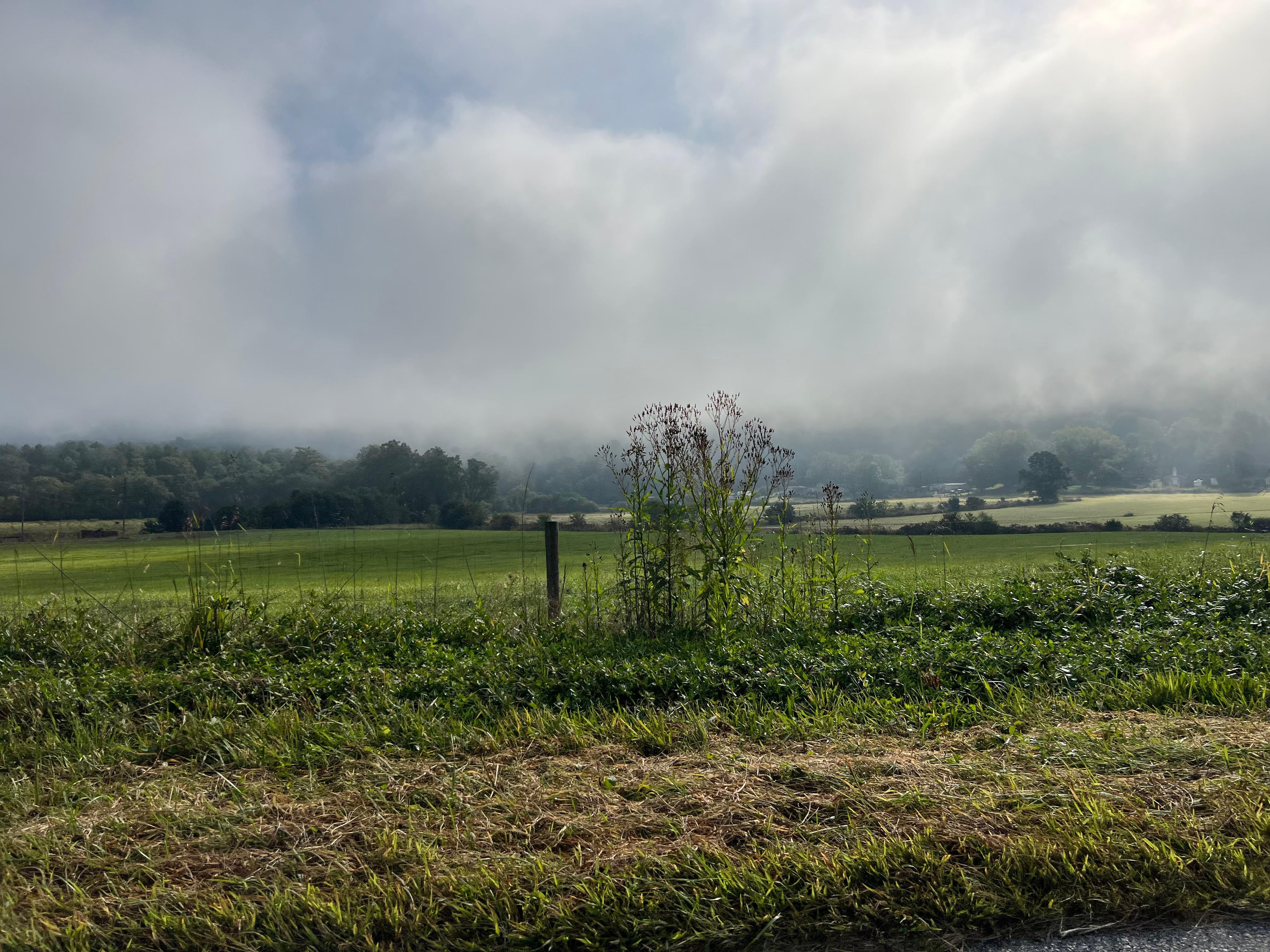 Morning mountain mist as we are leaving the property