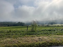 Morning mountain mist as we are leaving the property