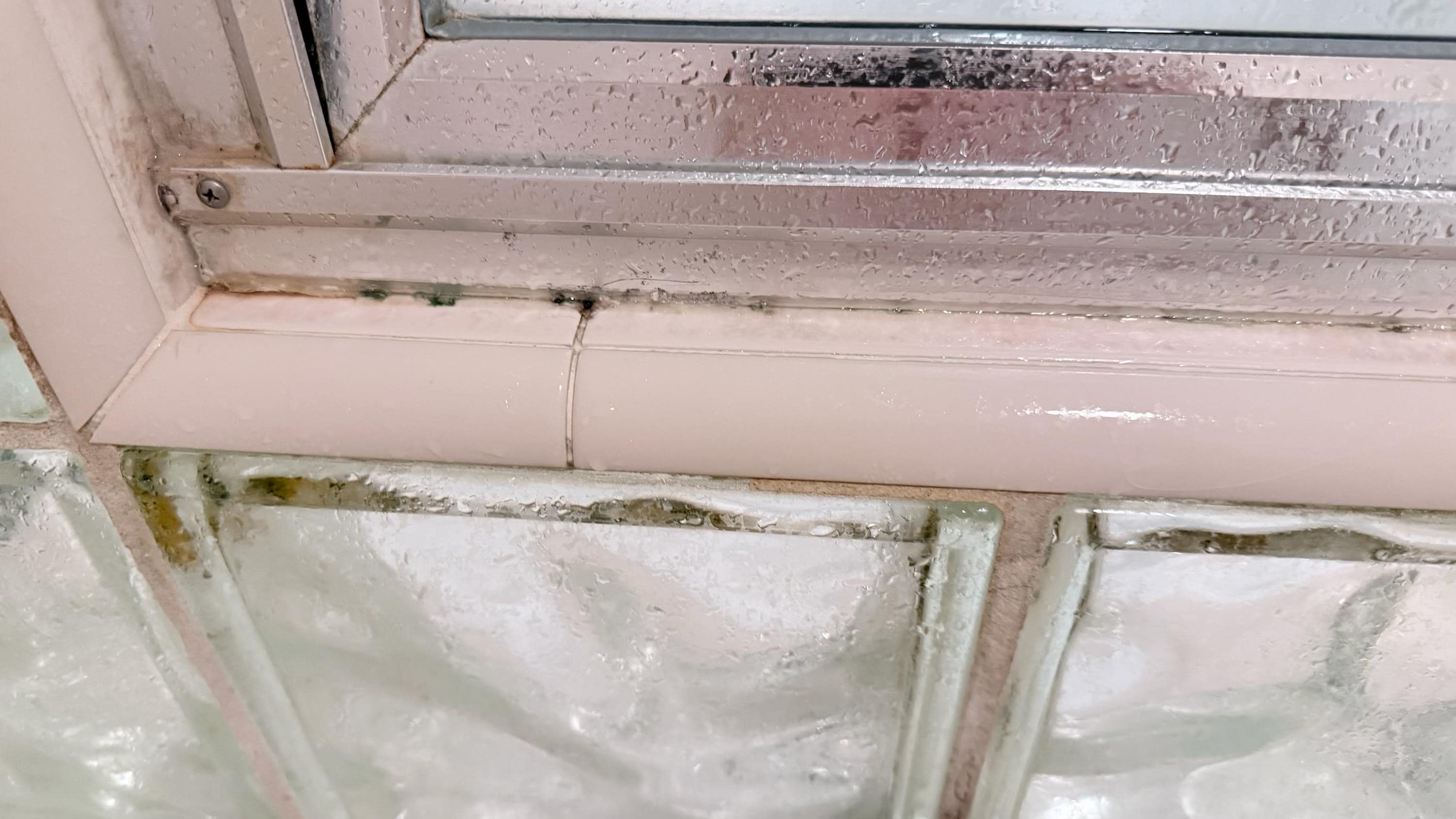 Mold in bathroom 