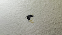 The most disgusting mystery spot in the bedroom on the wall but it look like poop and hair was smeared .. so nasty
