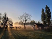 Le jardin au lever du soleil