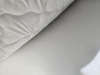 This is a photo of the dead bedbug
