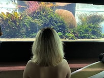 Oceanarium the underwater forest