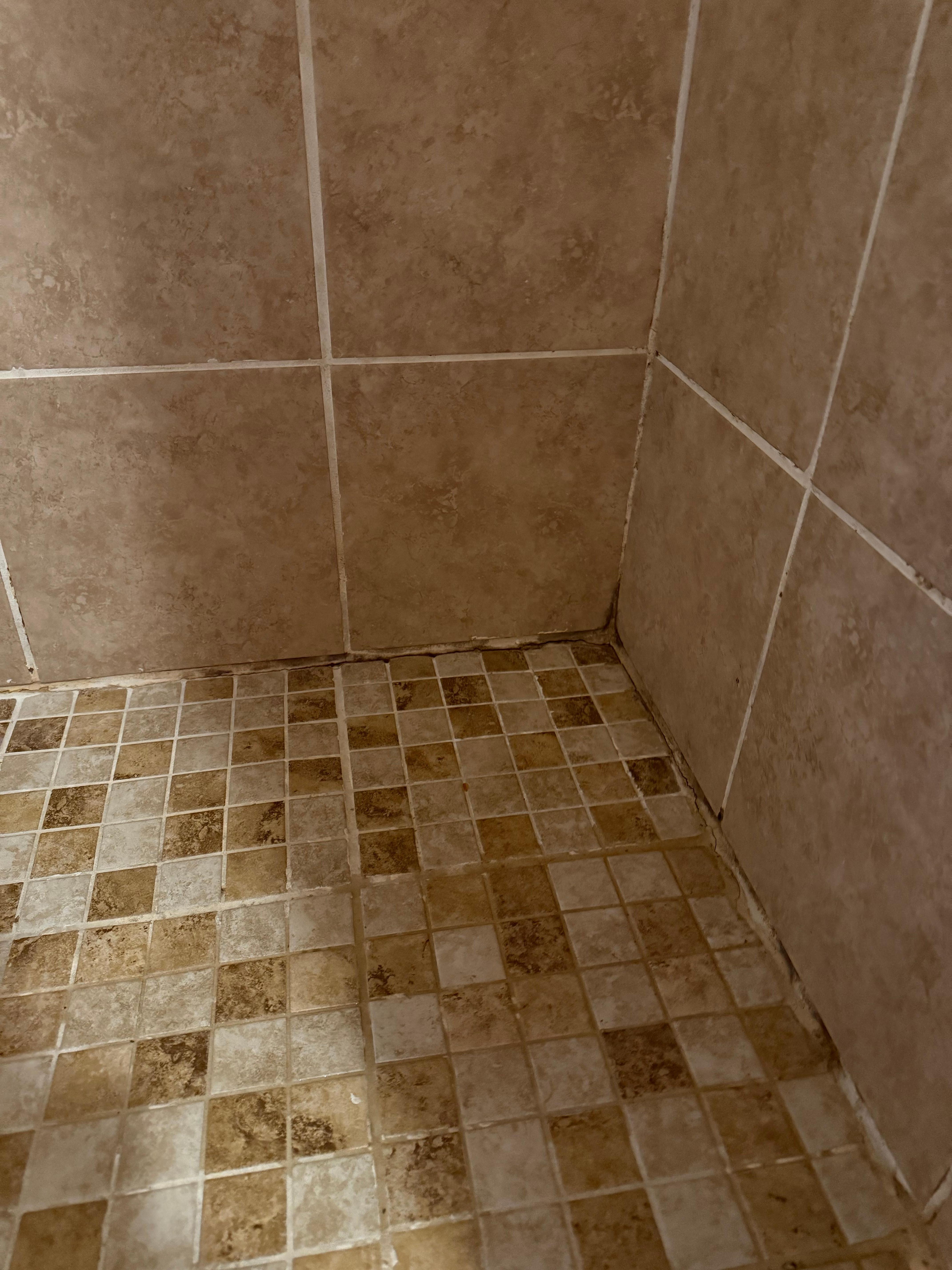 Master bathroom shower 