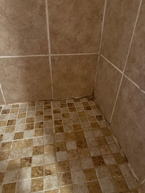 Master bathroom shower