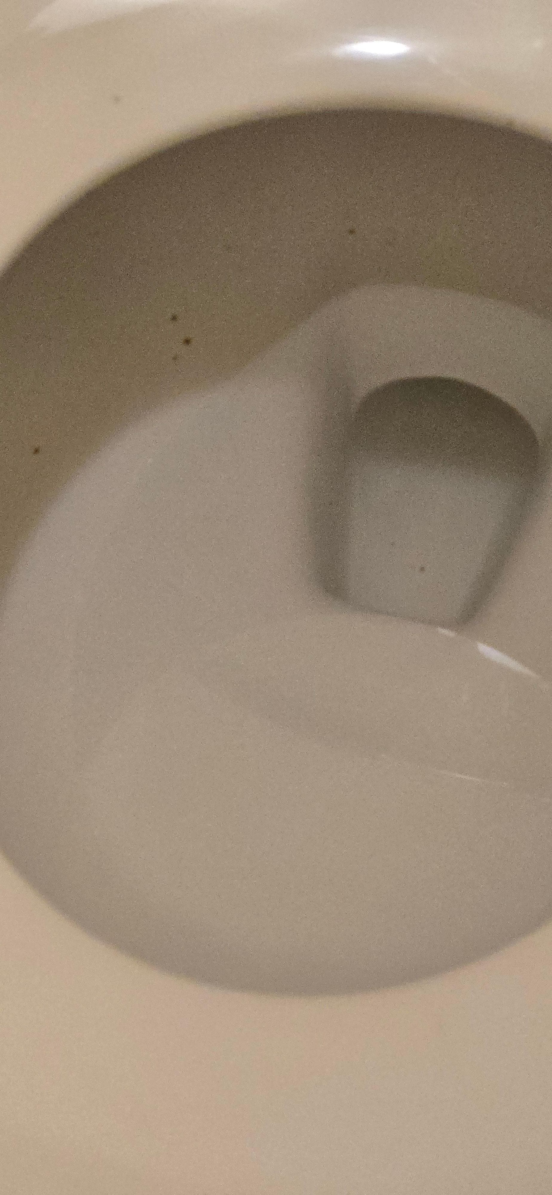 2nd clean toilet