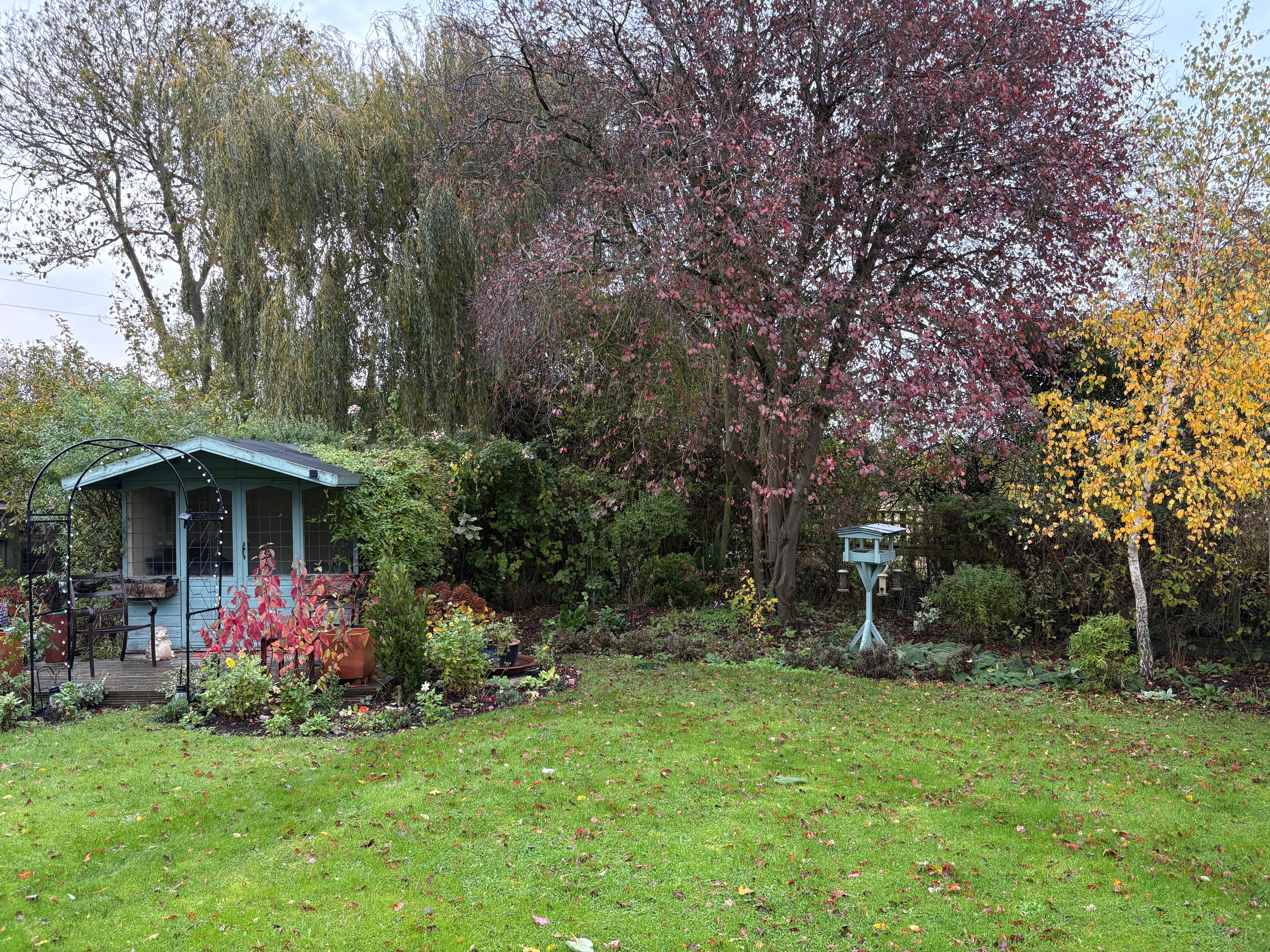 Garden view from room 