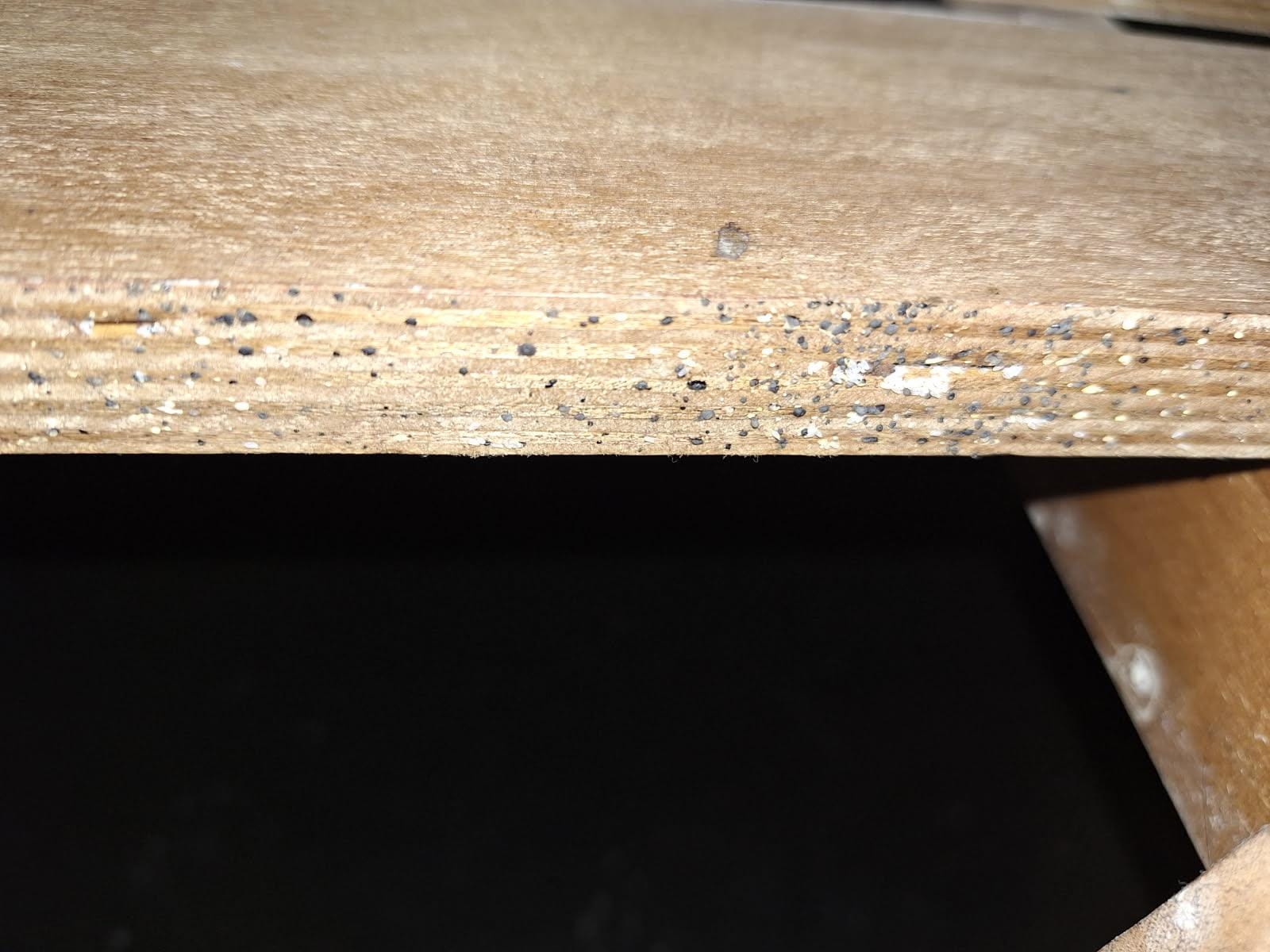 Bed bug eggs on the bedframe.