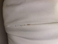 Roach legs