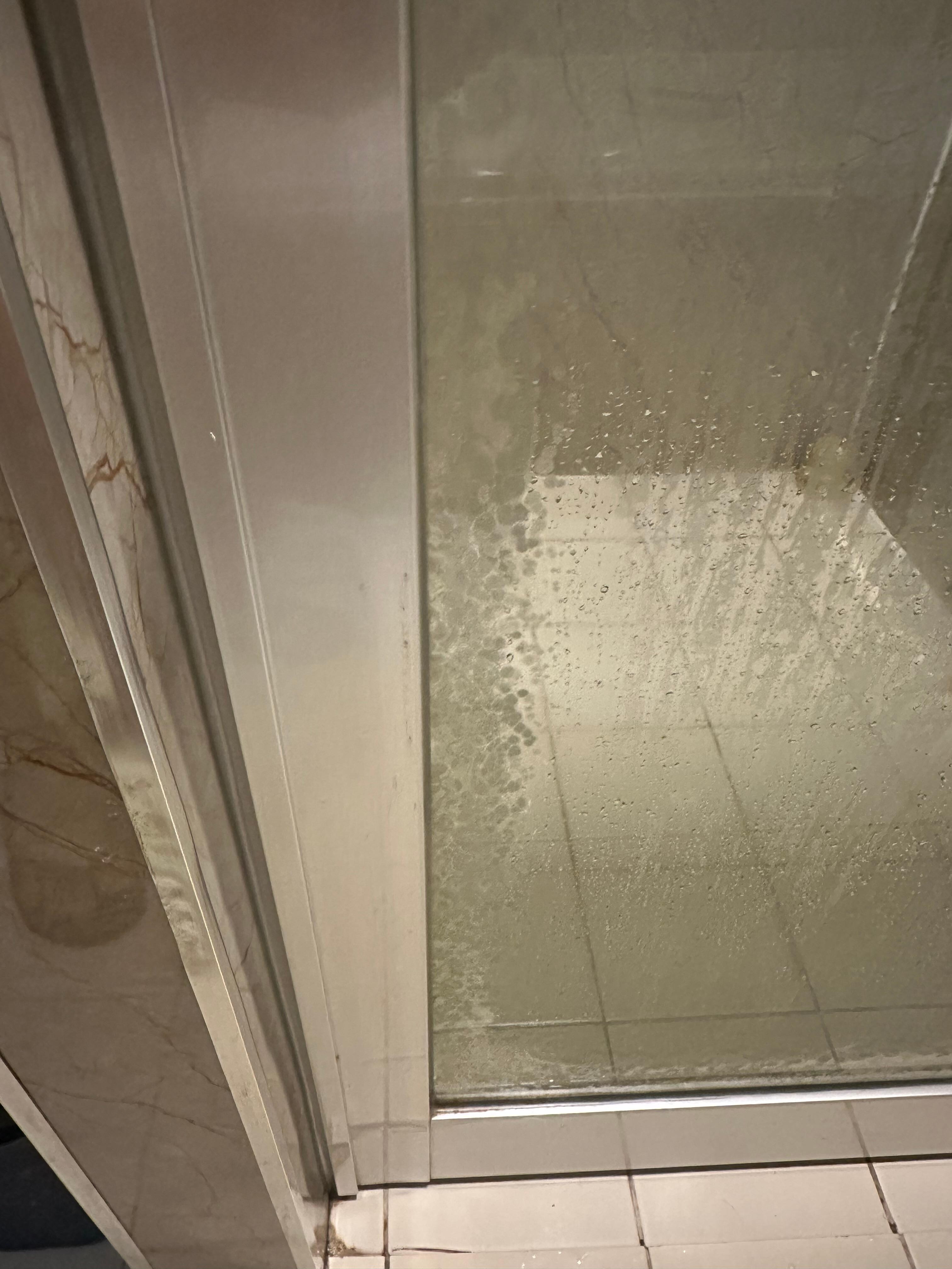 Rusted and stained shower door