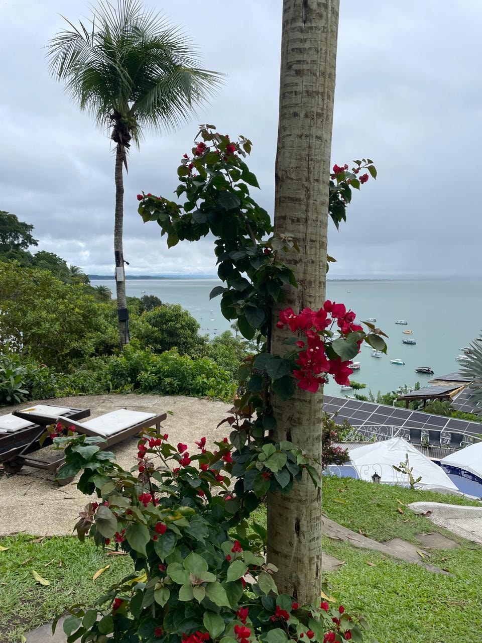 Jardim do 3º andar com essa vista maravilhosa.