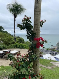 Jardim do 3º andar com essa vista maravilhosa.
