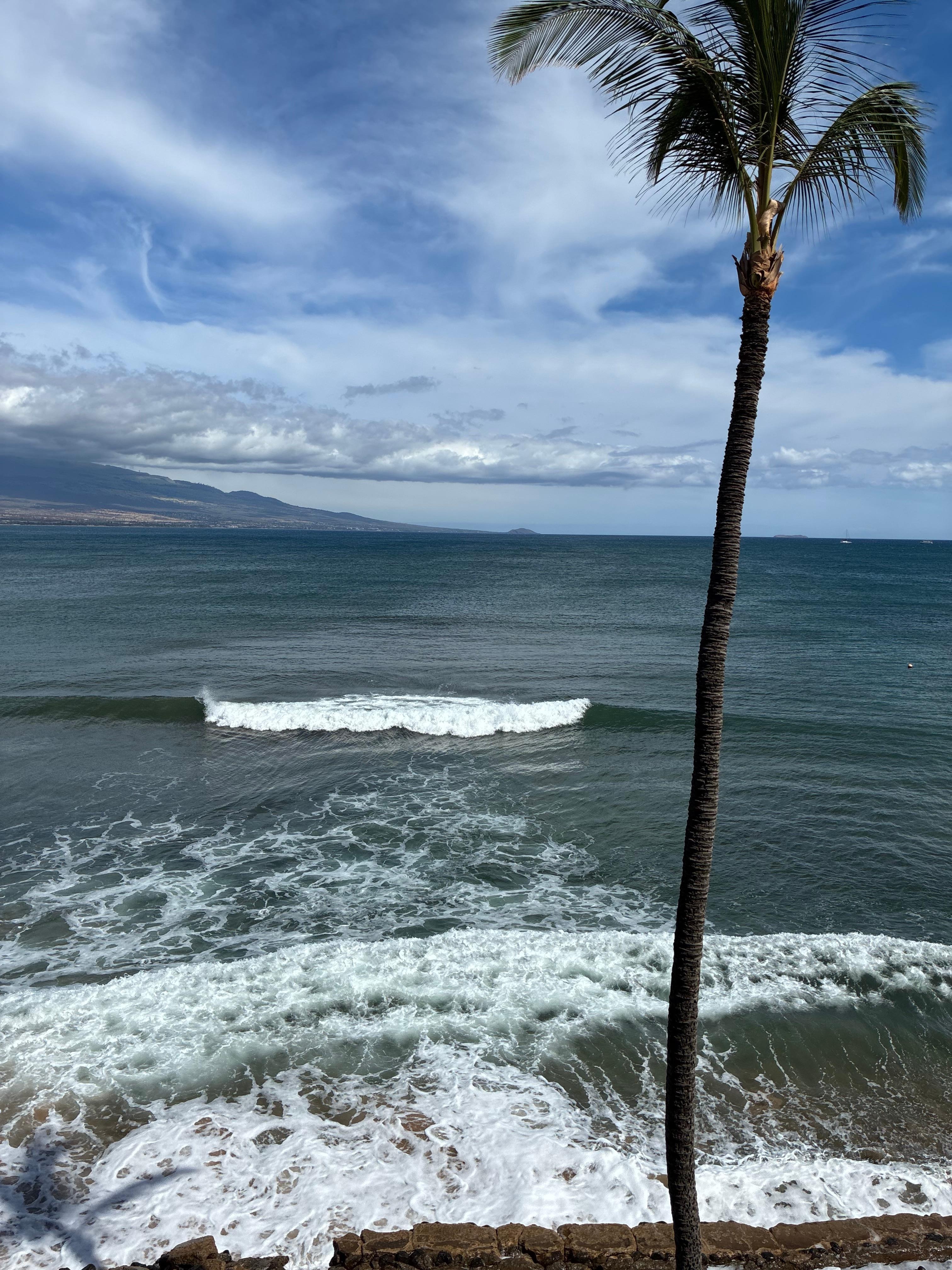 Waves outside the condo for boogie boarding. 
