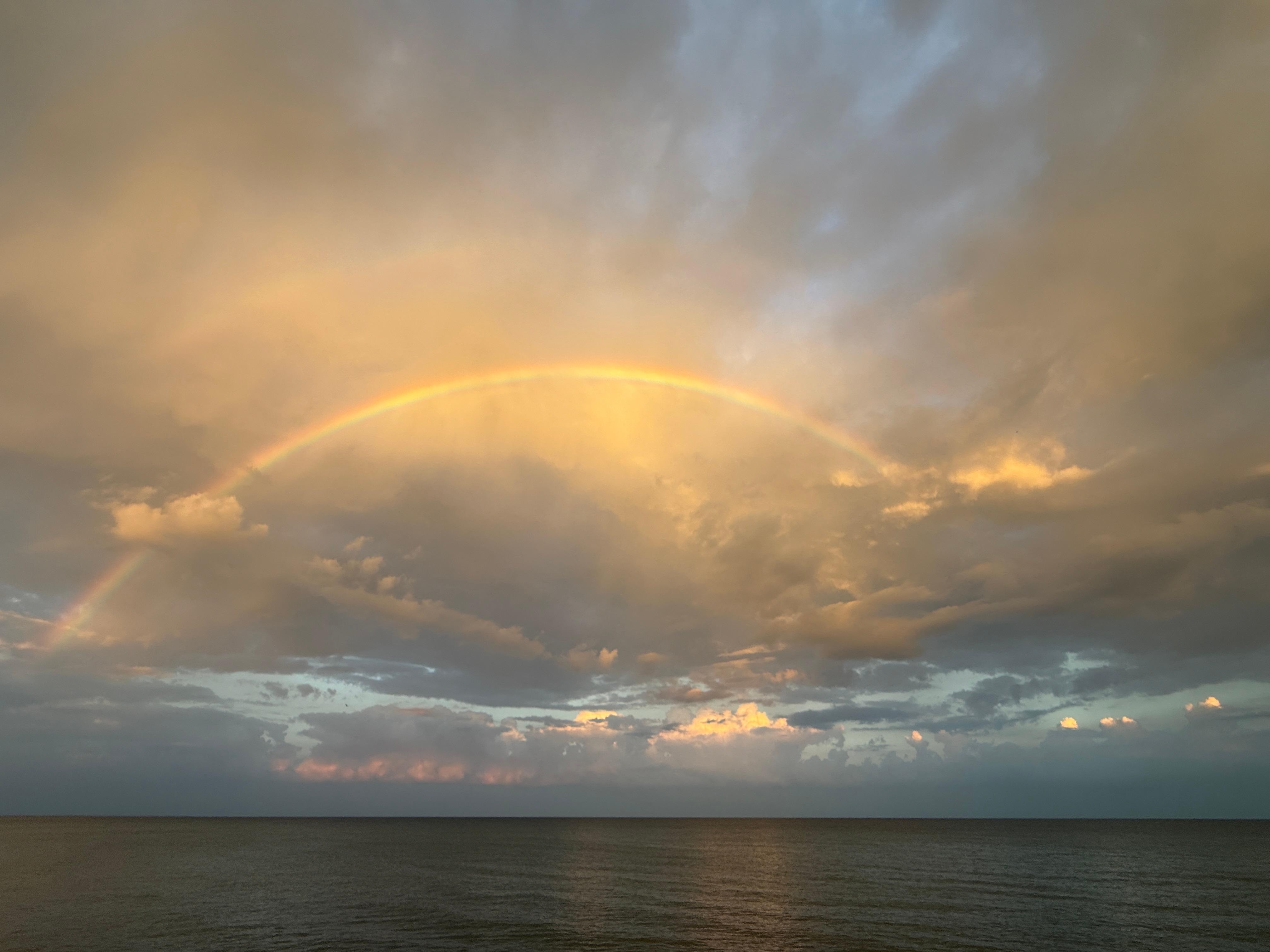 View from the back porch.