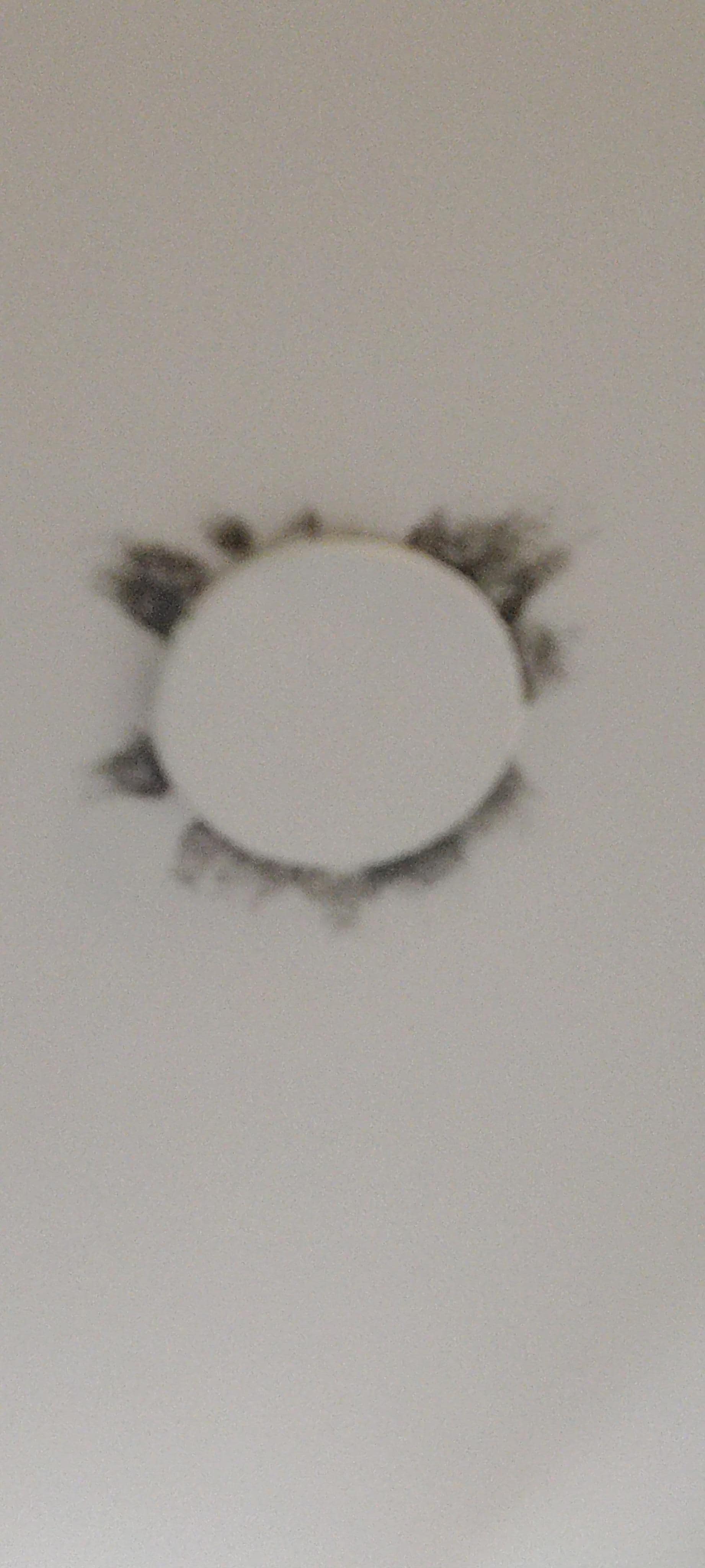 Black mold on the ceiling.