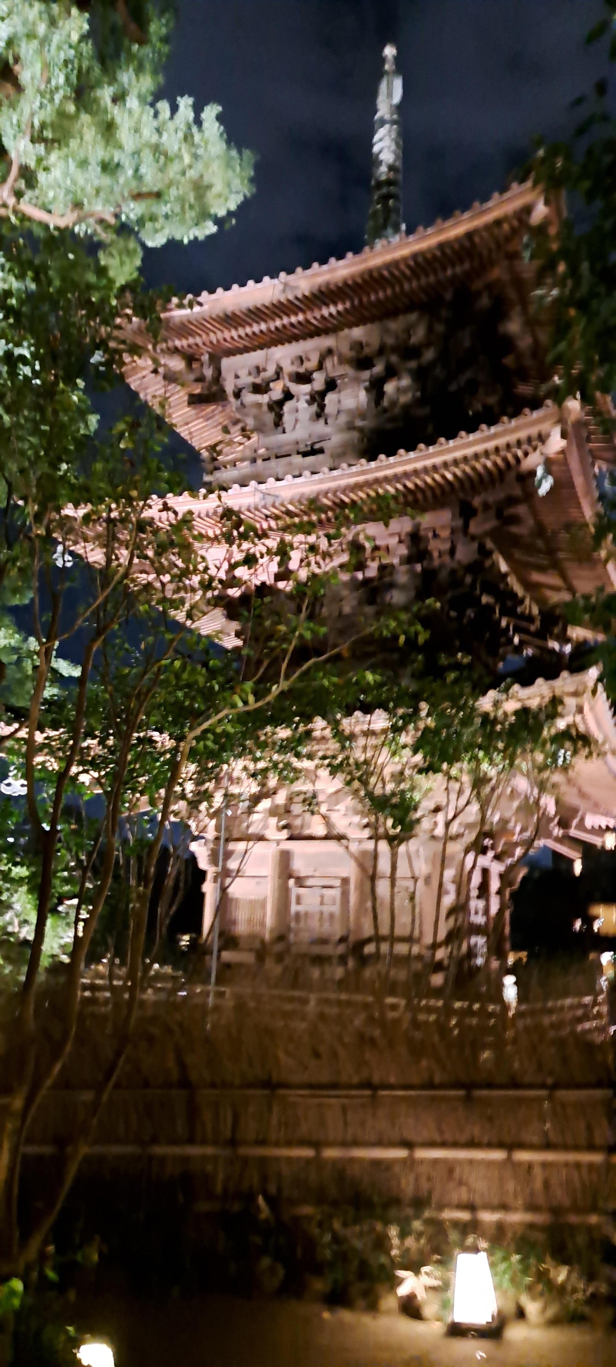 A walk in the evening