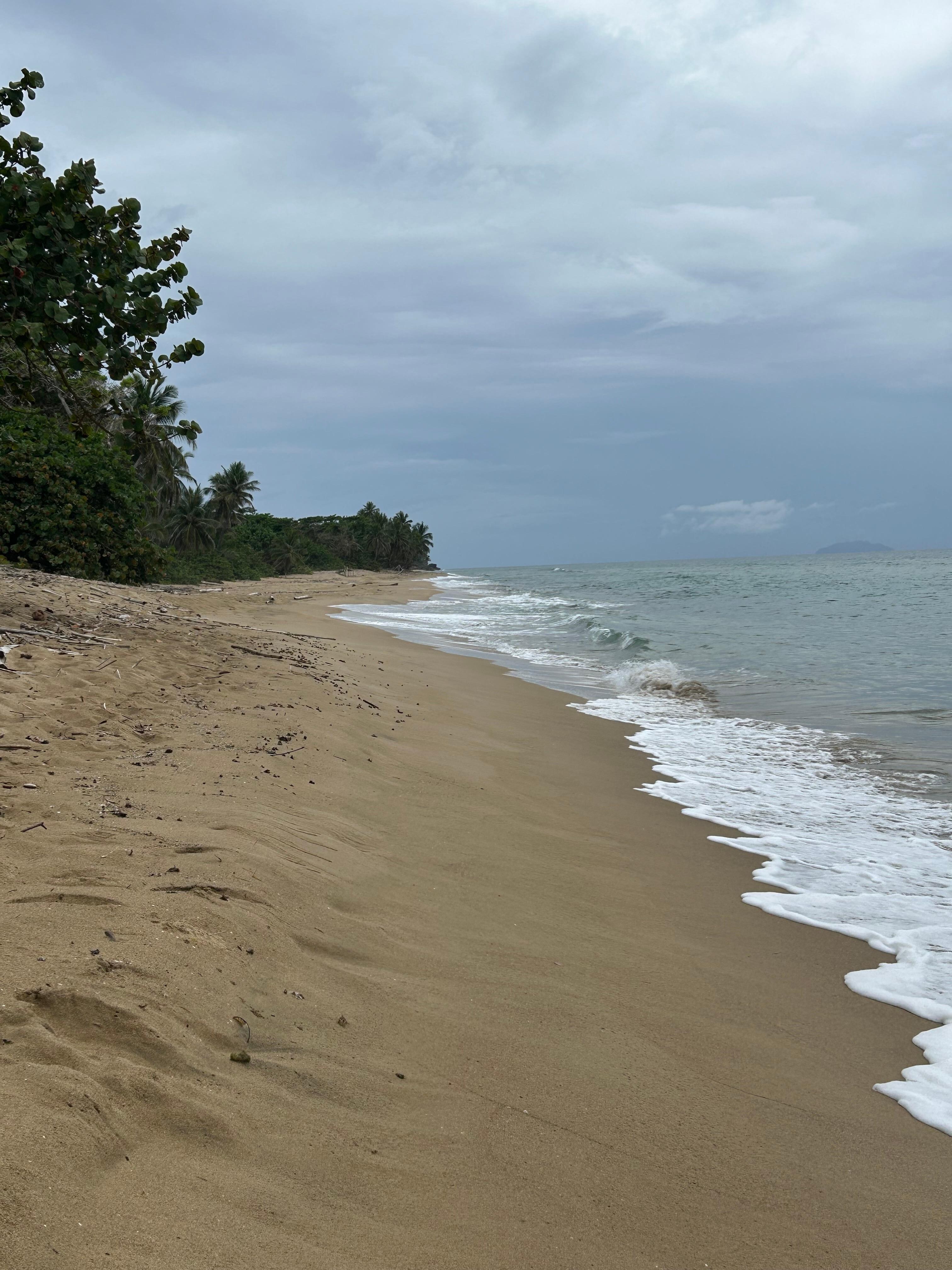 Beach walk
