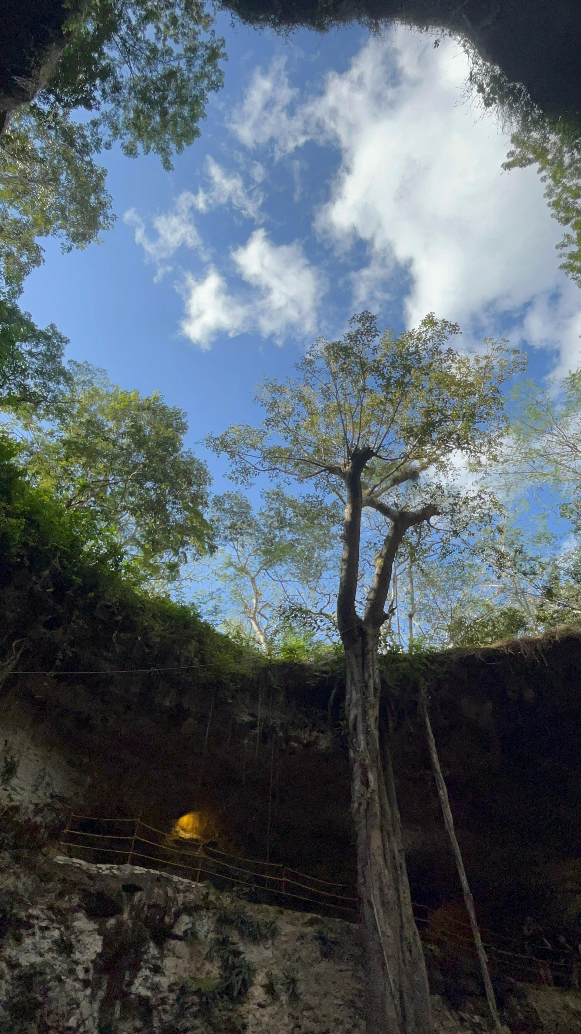 Cenote nearly 