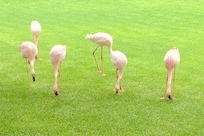 Loro Park