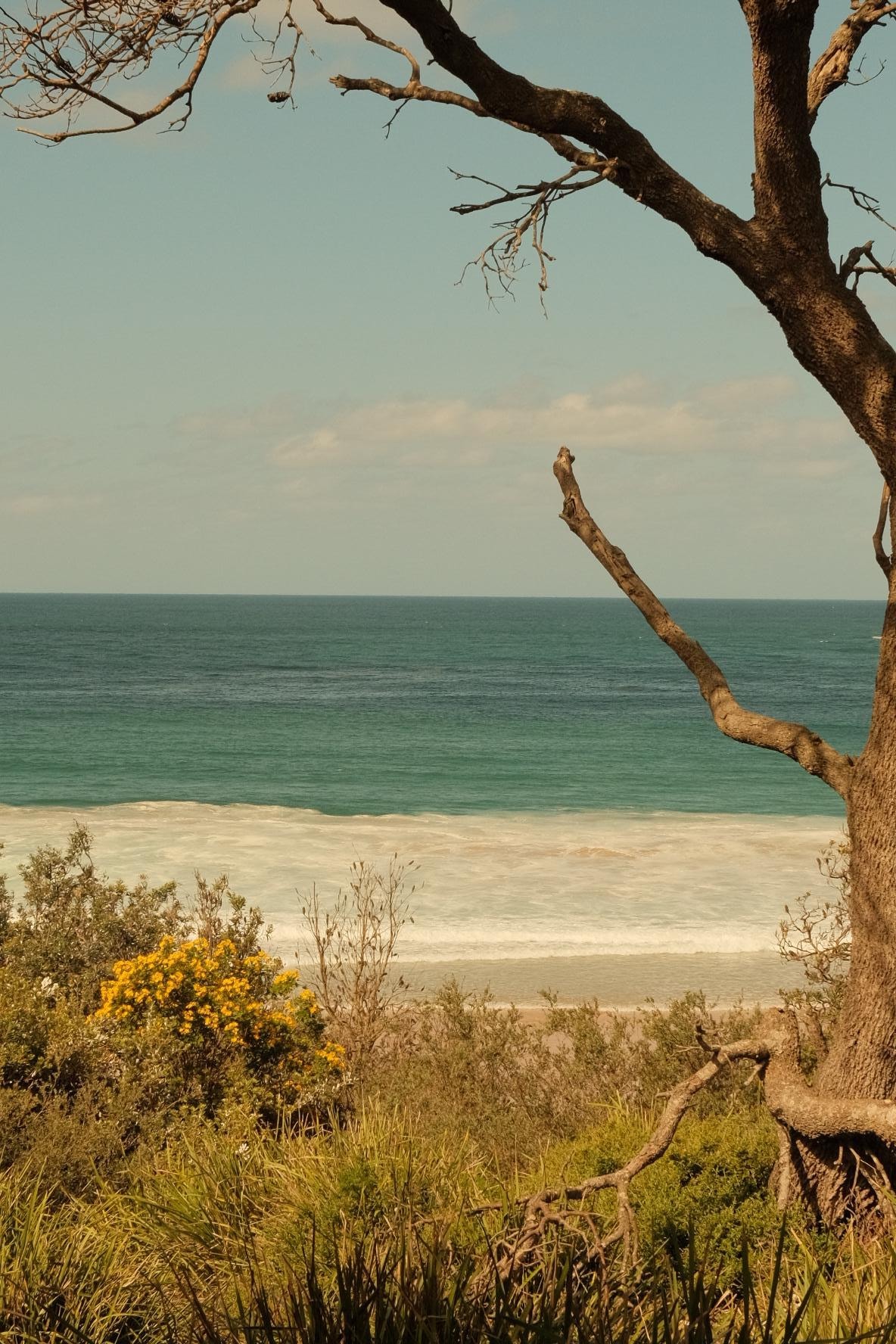 View from the back lawn