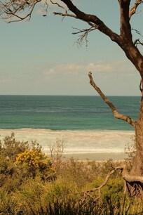 View from the back lawn