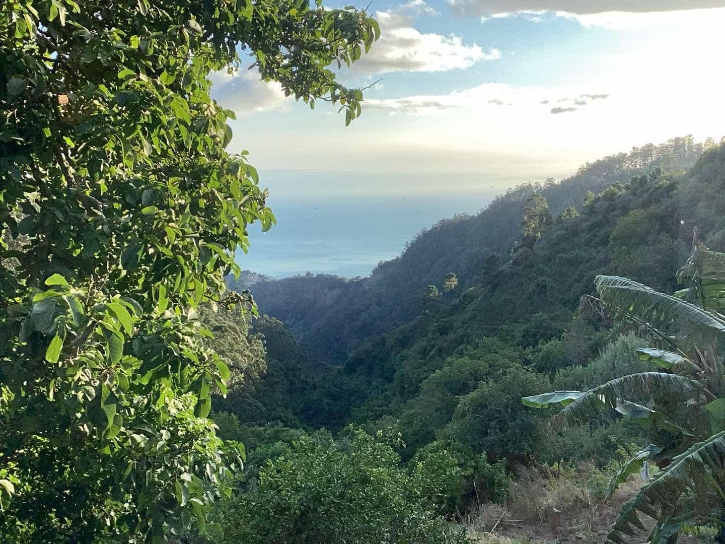 Vue de la salle à manger
